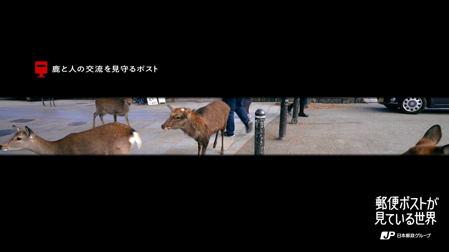 关注鹿与人之间互动的帖子