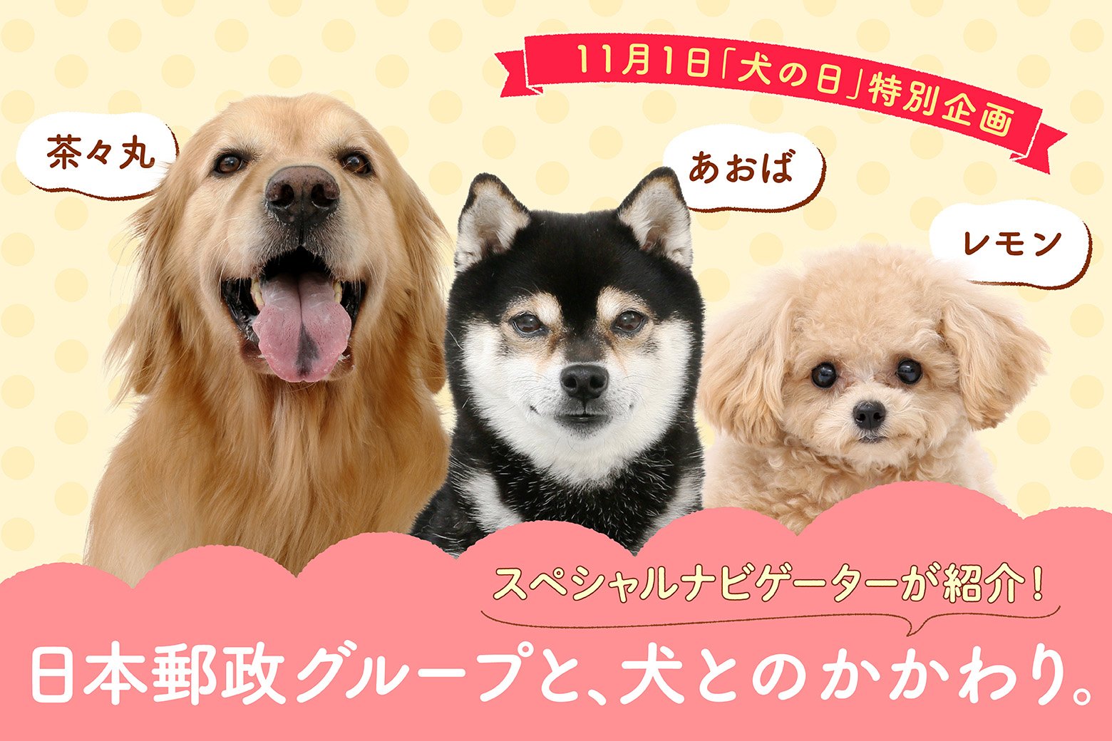 犬の日（11/1）特別企画★日本郵政グループと犬とのかかわりを紹介～かわいいスペシャルナビゲーターも登場！～