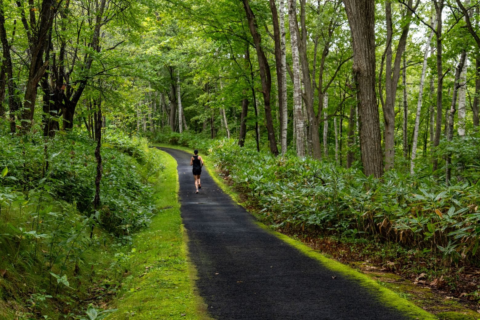 いつしか雨があがり、木の葉からしずくが落ちる音が響くなかを軽やかに駆け抜けました