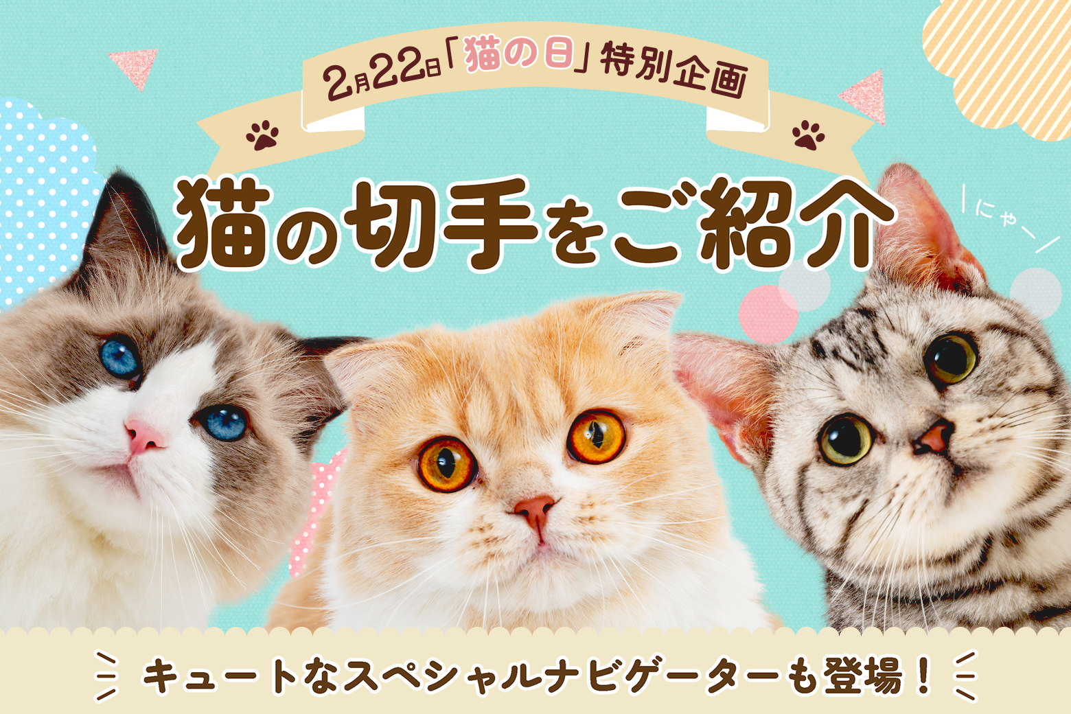 猫の日（2/22）特別企画★猫の切手をご紹介～キュートなスペシャルナビゲーターも登場！～