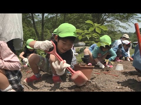 子どもたちの未来のために日本郵政グループが森づくり体験活動を提供